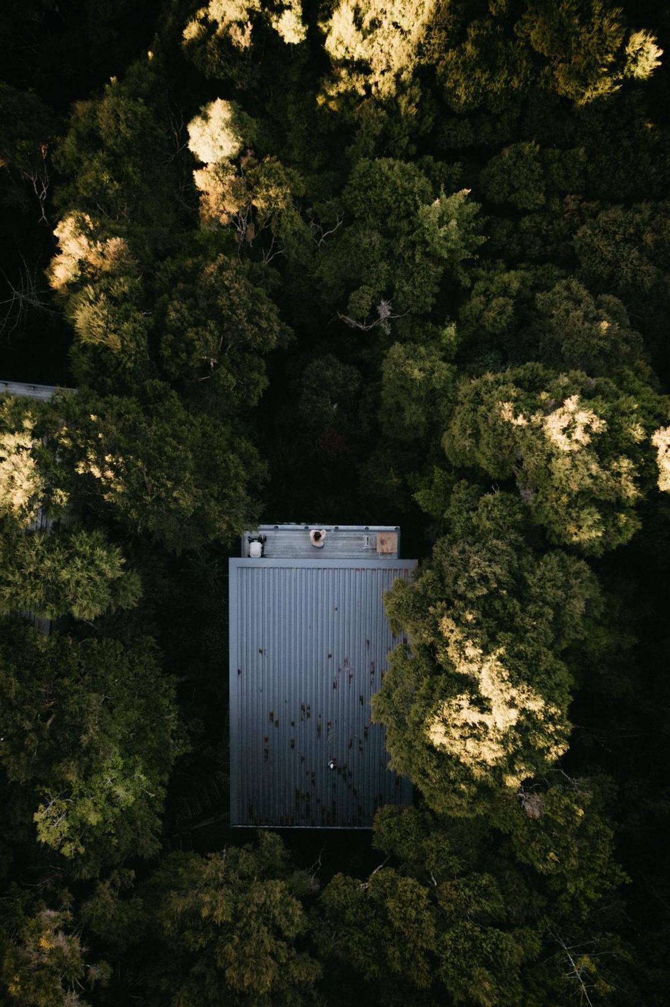 Treetop Tranquility At Rekindle Tree Houses Opua Bagian luar foto