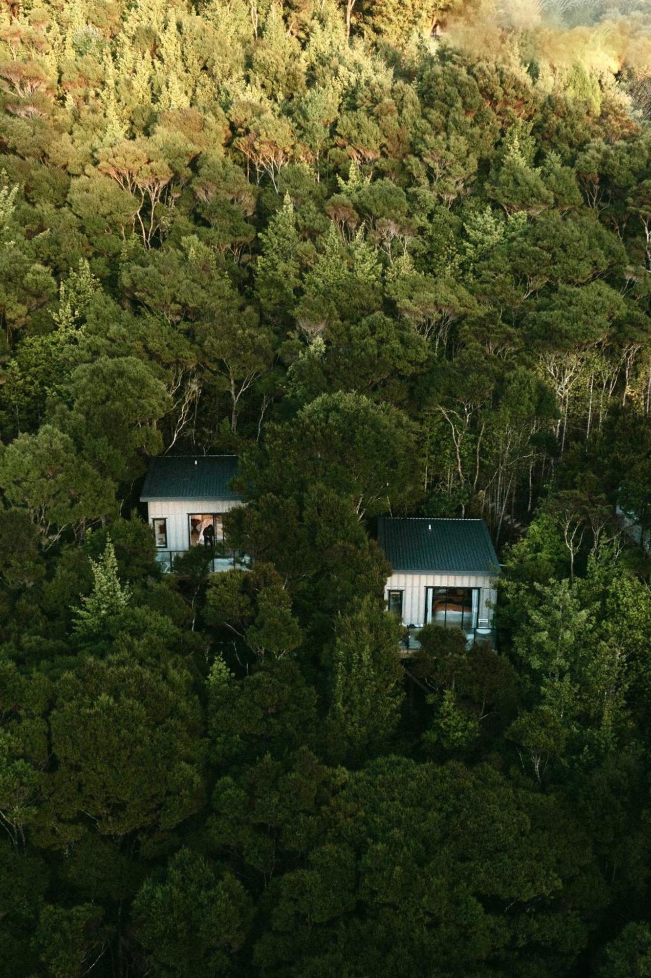 Treetop Tranquility At Rekindle Tree Houses Opua Bagian luar foto